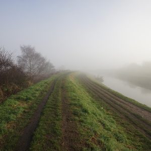 Fog Disappears