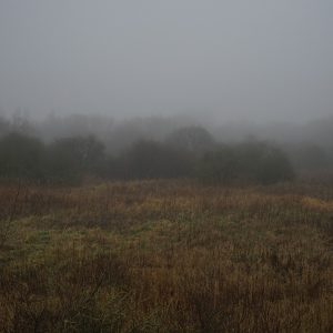 Fog Colours