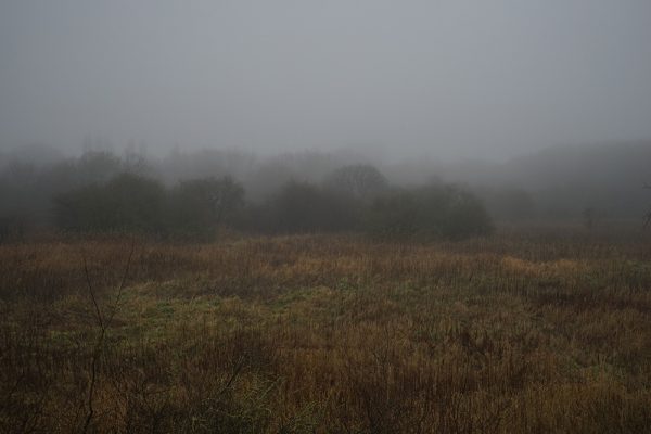 Fog Colours