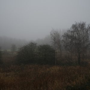 Autumn Becomes Winter