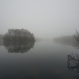 Island In the Lake