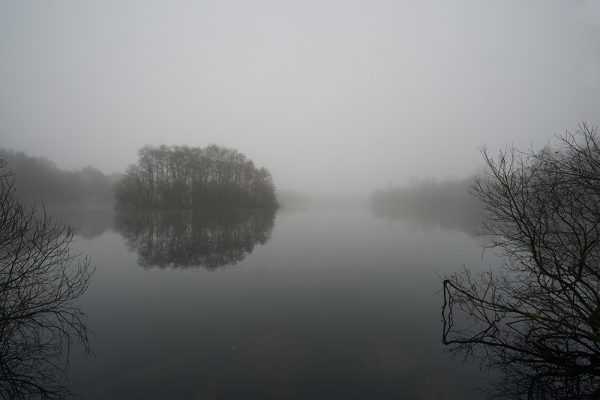 Island In the Lake