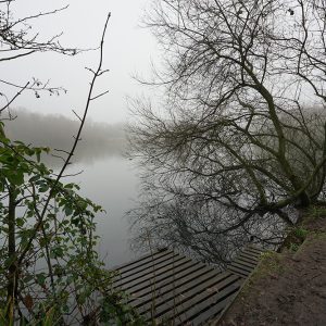 Fog Lake Platform
