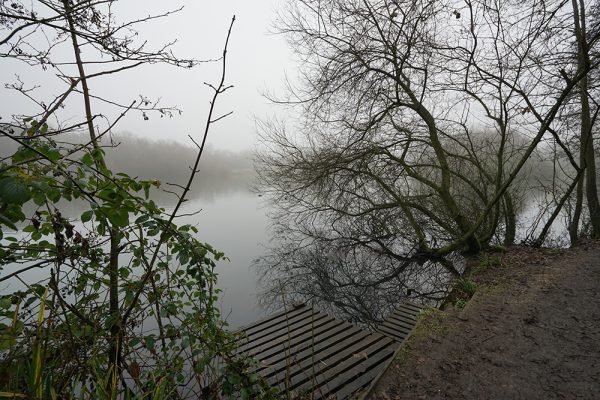 Fog Lake Platform
