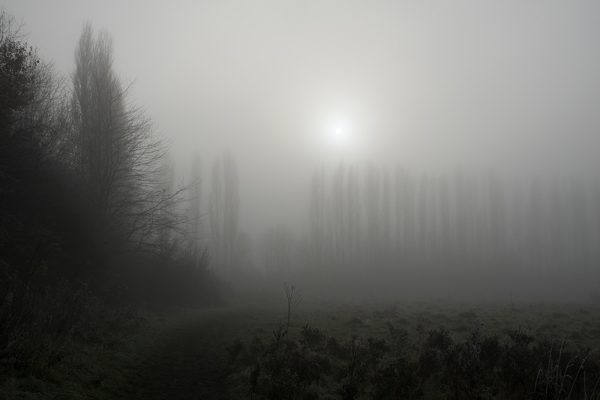 Fog Sunshine